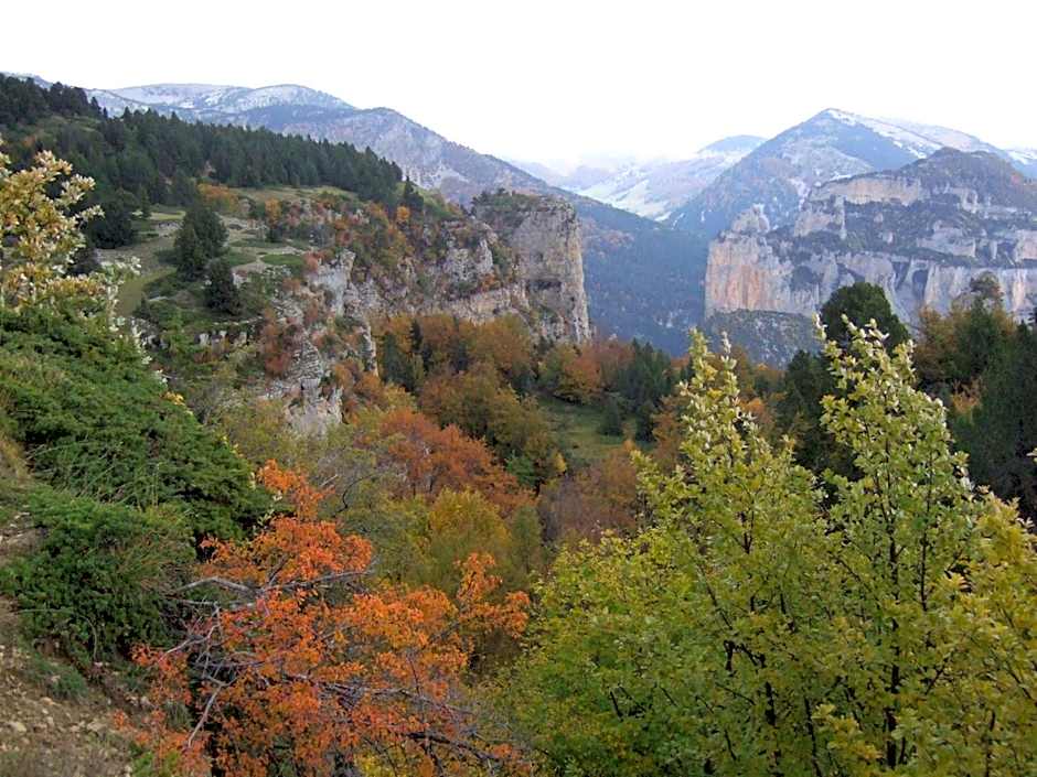 Le Sareymond