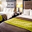 Comfort Inn Downtown Charleston