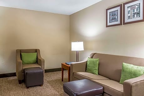 1 King Bed, Suite, Nonsmoking