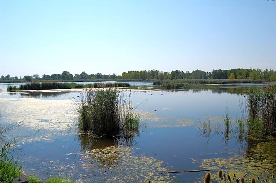 Holiday Inn Express Sarnia - Point Edward By IHG