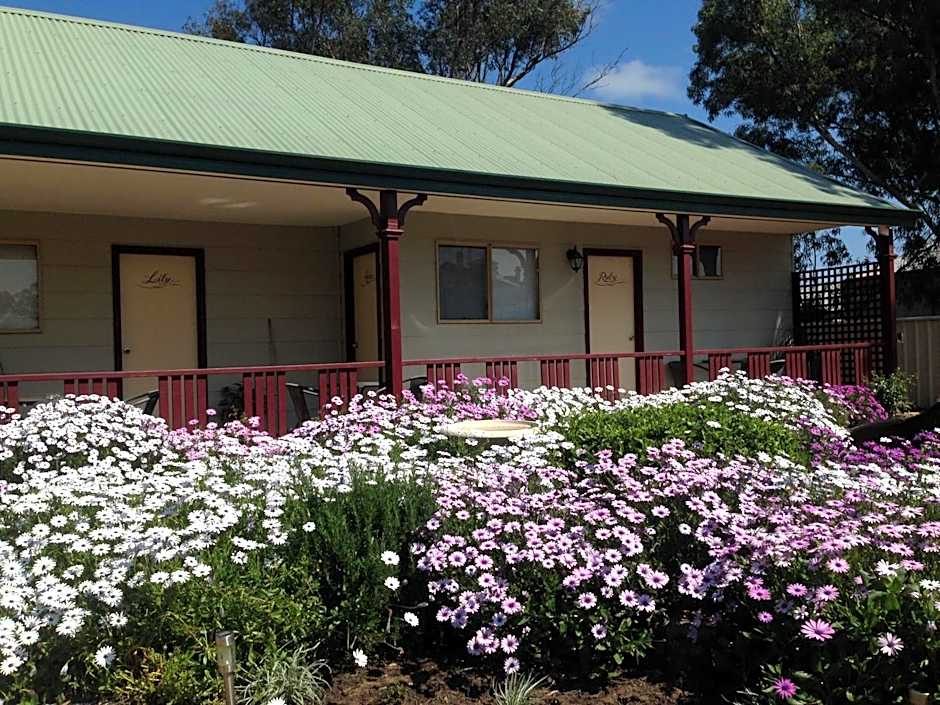 The Nosh & Nod - Avon Terrace