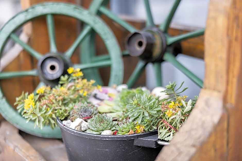 Haidinger's Boutique Domizil