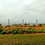 Ocean View Villas - F6