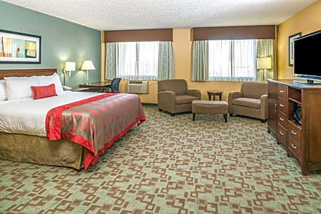 1 King Bed Superior Suite City View Non-Smoking