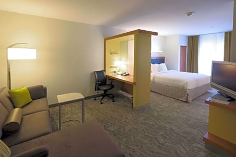 Suite, 1 King Bed with Sofa bed (1 King Bed and 1 Double Sofa Bed)
