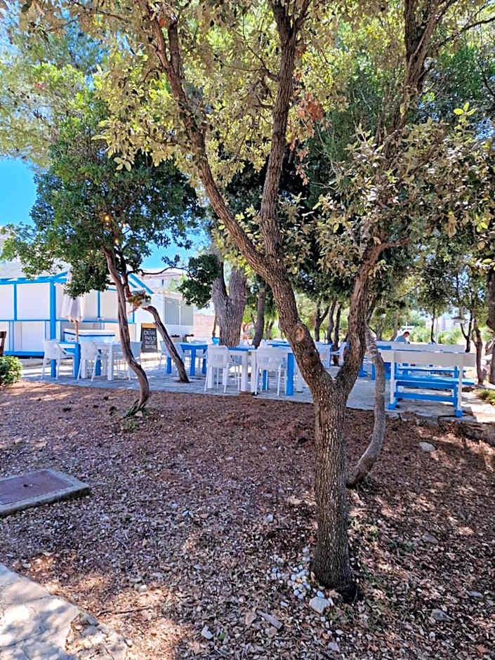 Residence-Apartment-Giuliano-Punta Skala,