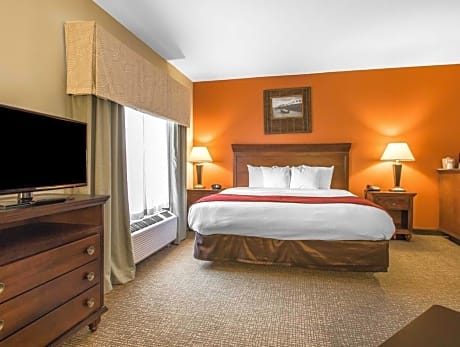 1 Bedroom King Suite