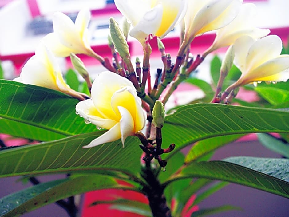 Hotel Time Johor Bahru