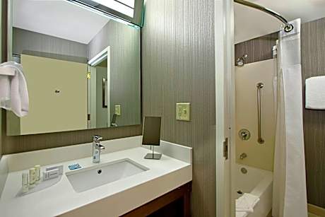 One-Bedroom King Suite with Bathtub and Sofa Bed - Mobility Access/Hearing Accessible