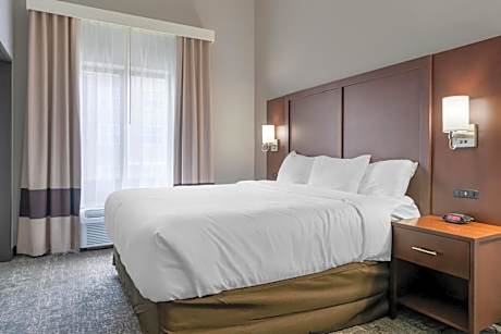 King Suite with Sofa bed - Accessible Tub - Disability Access/Non Smoking