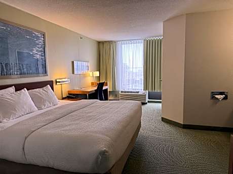 King Room with Roll-In Shower, Sofa Bed and Wet Bar - Disability/Non-Smoking