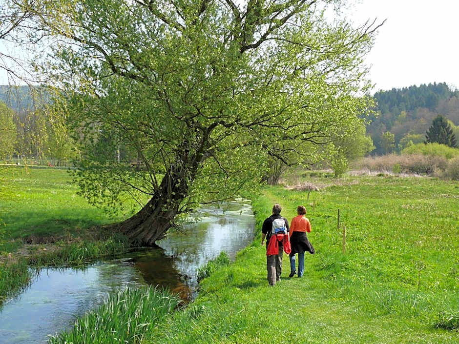 Blick zum Maimont