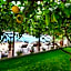 Il Giardino Dei Limoni