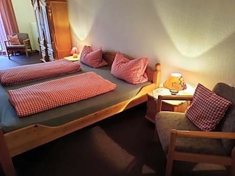 Deluxe Double Room with Shower