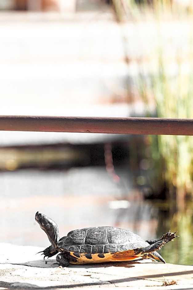 Hotel Finca Ca N'ai - Adults Only