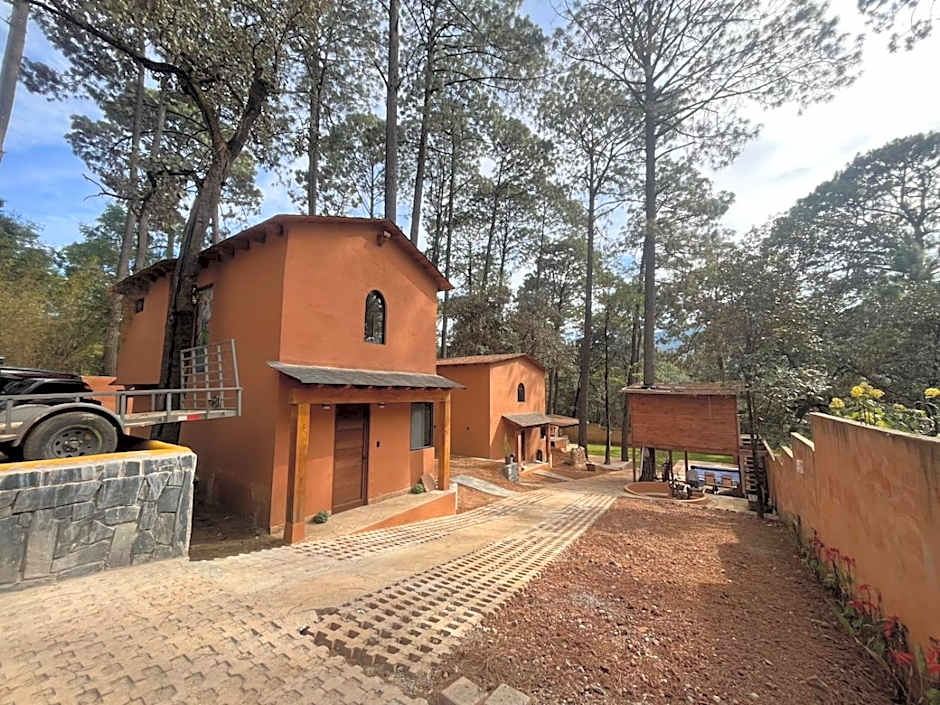 Bosque de Avandaro