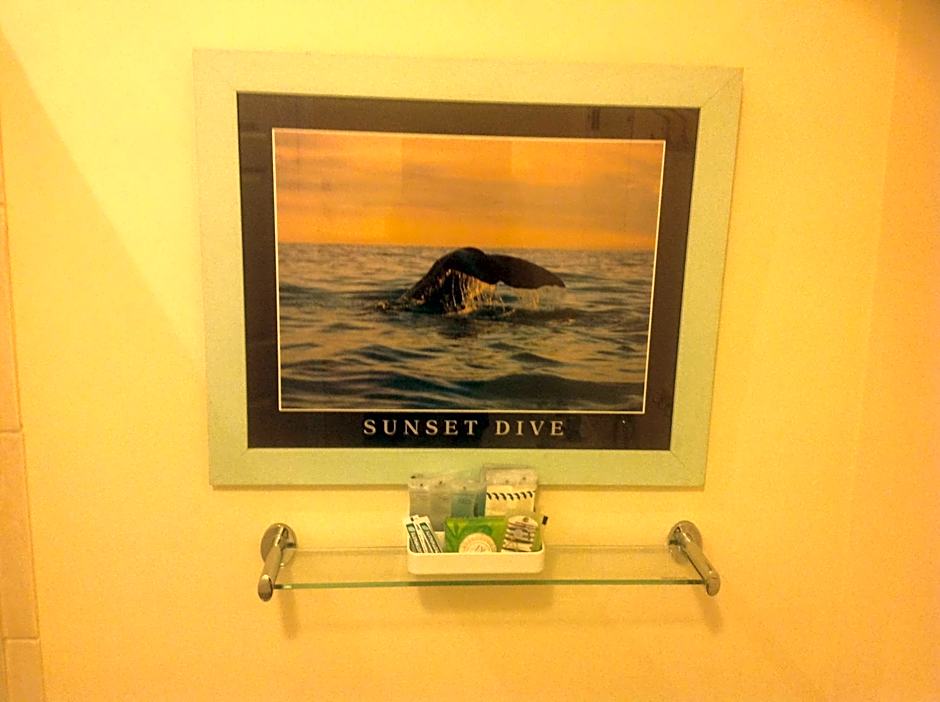 Cleasewood Guest House