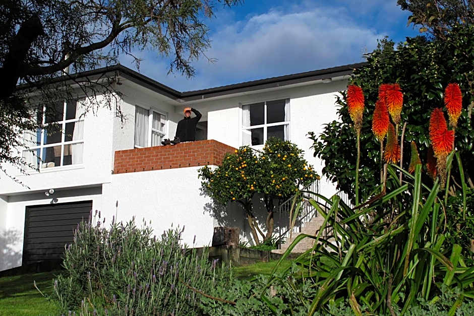 16 Havelock Bed and Breakfast