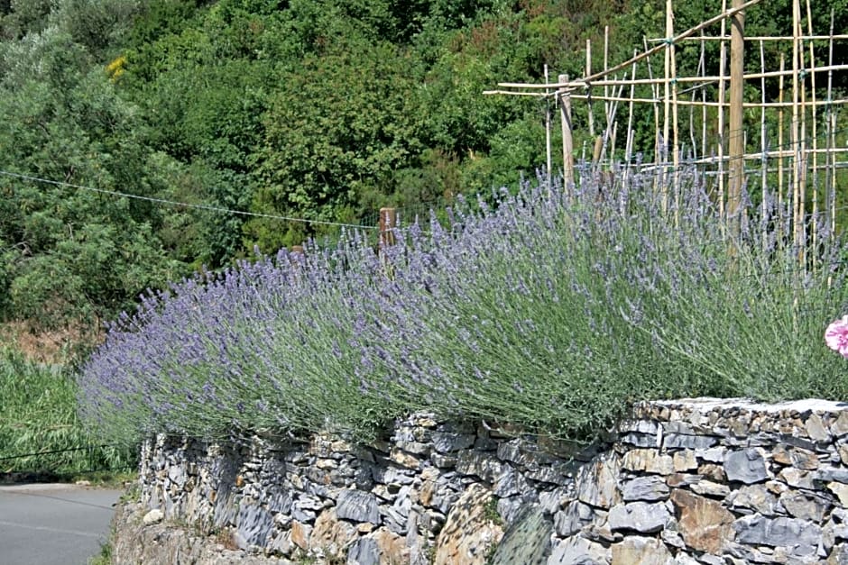 Cà de Pria