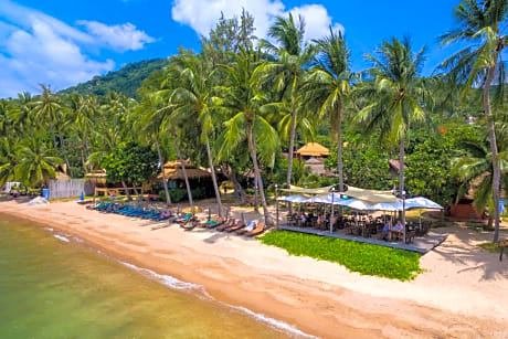 Palm Leaf Resort Koh Tao