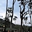 Neelakurunji Plantation Munnar
