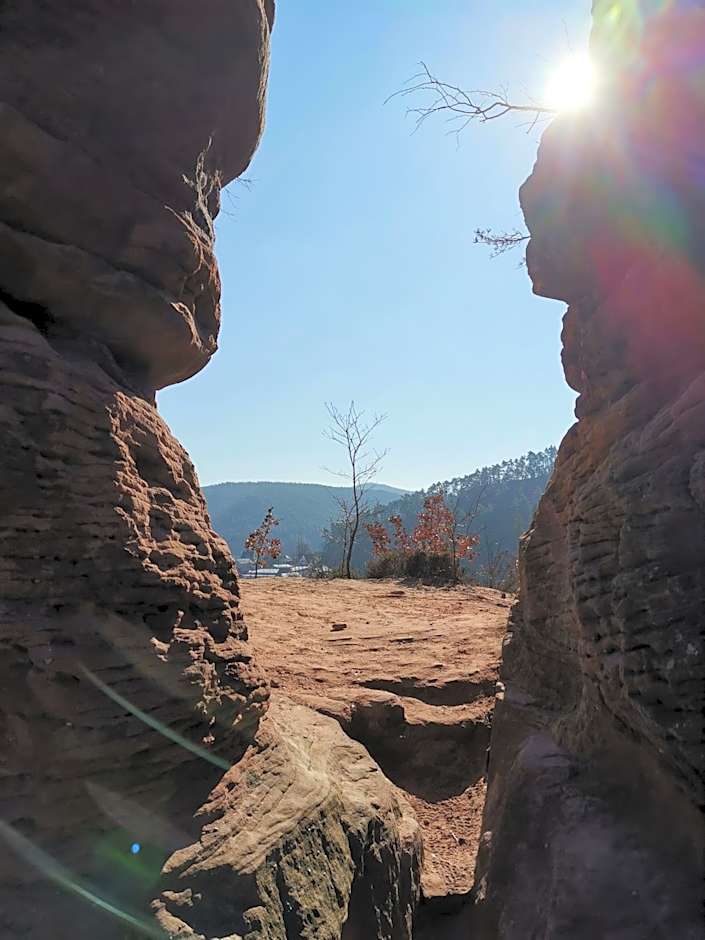 Hotel Am Hirschhorn - Wellness - Spa - and more