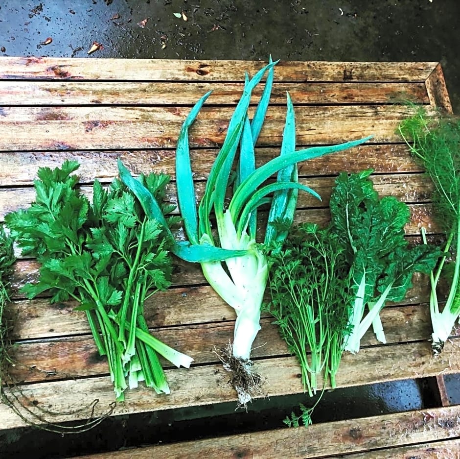 Tegwaan Country Getaway