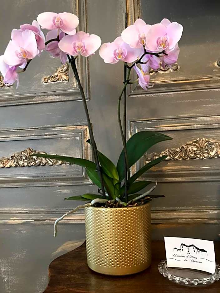 Chambres d'hôtes du château