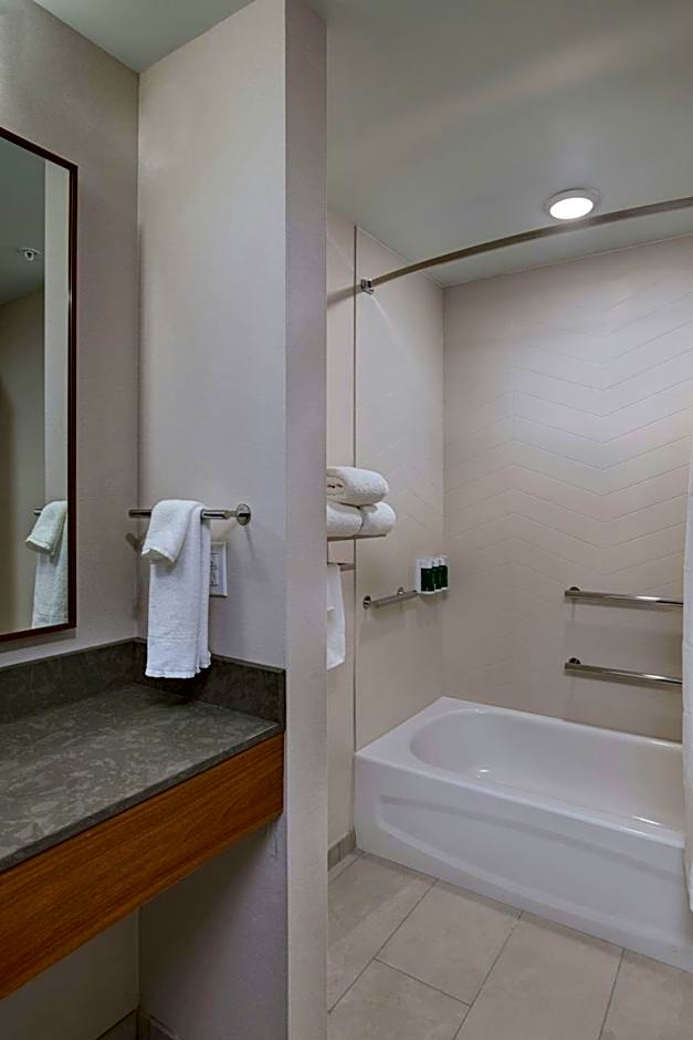 Fairfield Inn & Suites by Marriott St. Louis Downtown