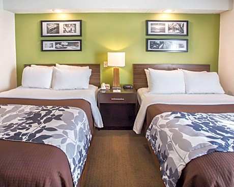 Double Room with Two Double Beds