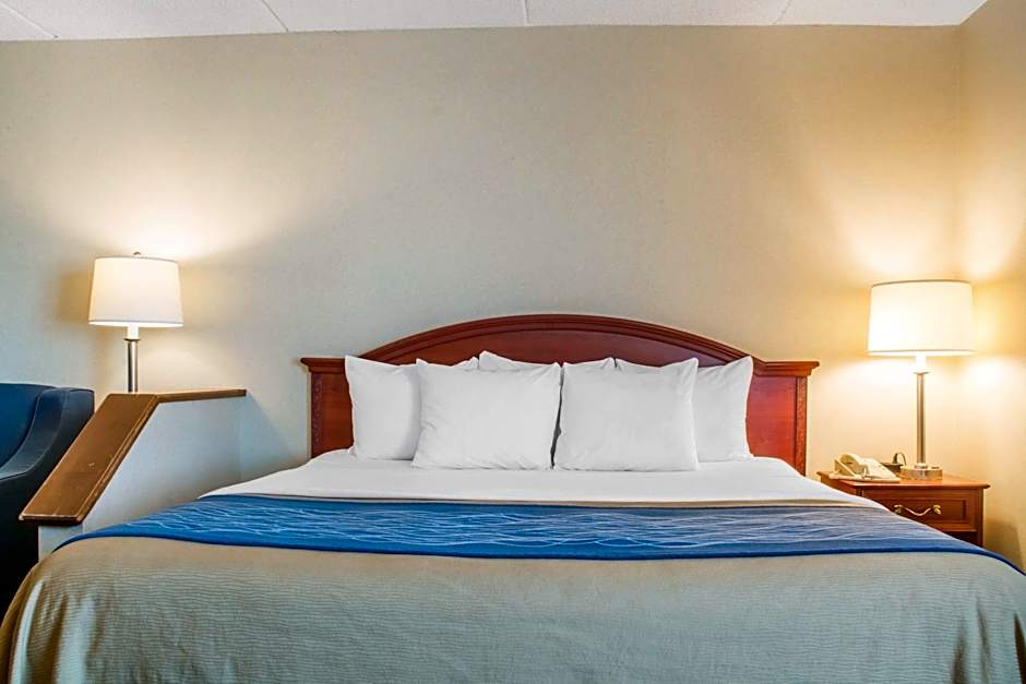 Comfort Inn West Rochester