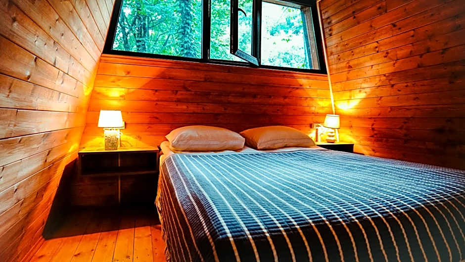 Eco Village In The Forest