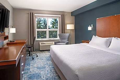Room, 1 King Bed