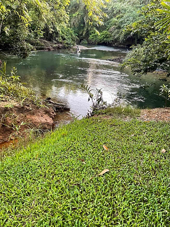 สวนลุงวรRanongGlamping