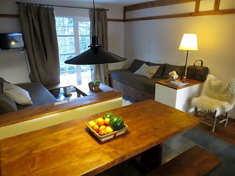 Aldea Andina Hotel&Spa