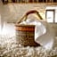 Wester Auchraw Croft B&B