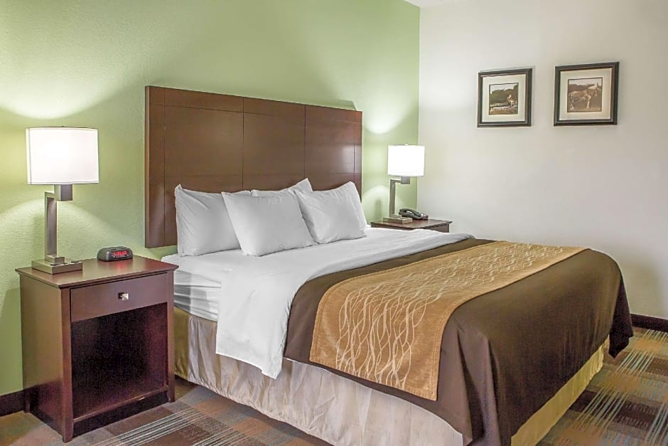 Comfort Inn Lexington South