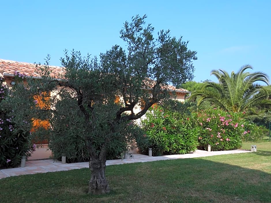 Chambres d'hôtes Villa Alizé