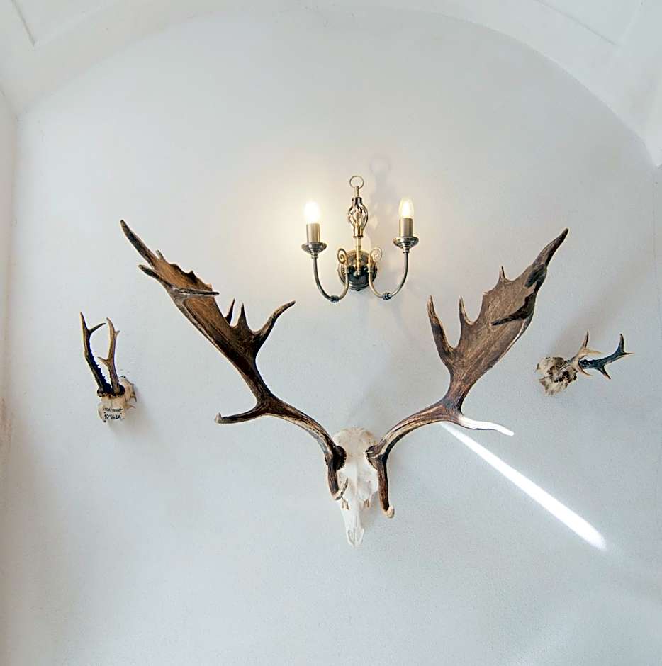 Zámek Jeseník Nad Odrou