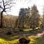 Hillside Log cabin, Ardoch Lodge, Strathyre