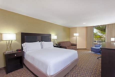 1 King Suite Communications Mobility Accessible Tub