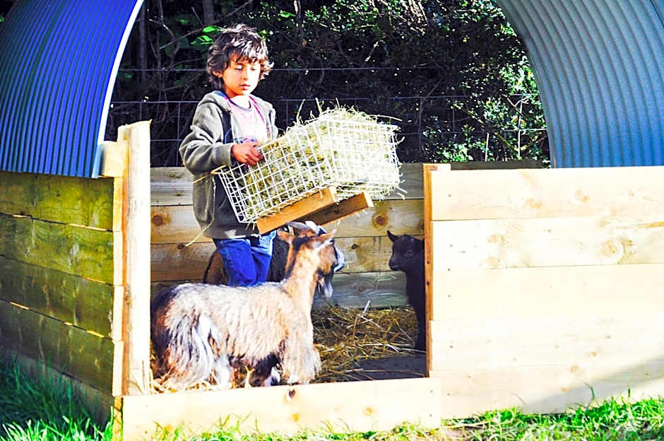 Drovers Rest Farm Stay