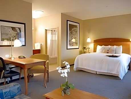 Studio Suite