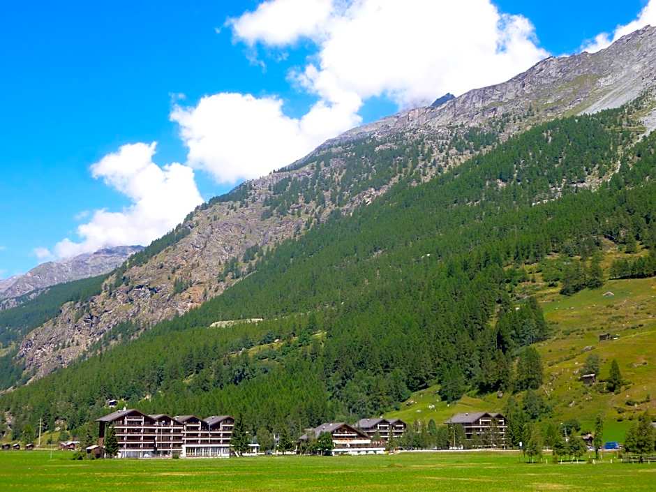 Monte Rosa D 412