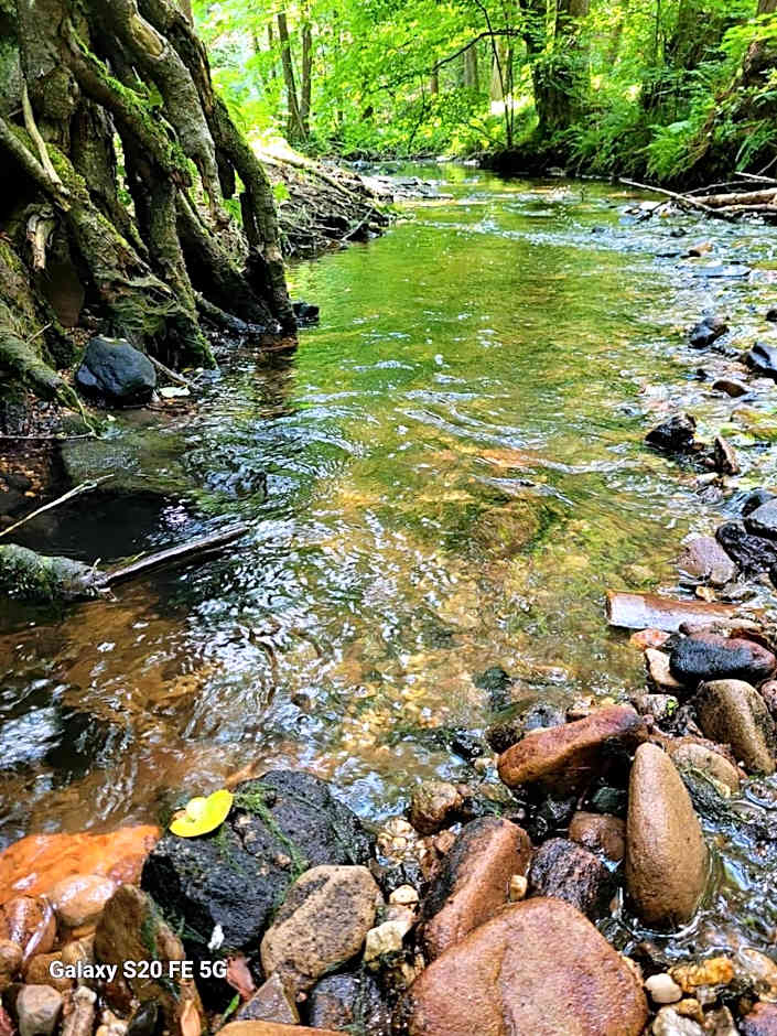 Waldhotel Pfarrmühle