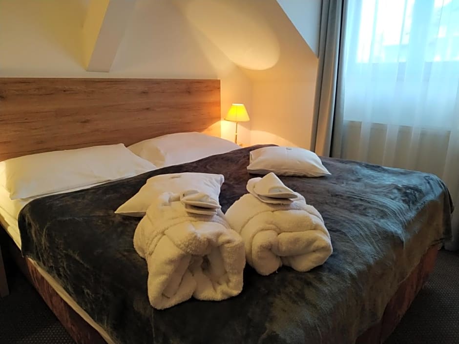 Anna SPA & Wellness Hotel Nejdek