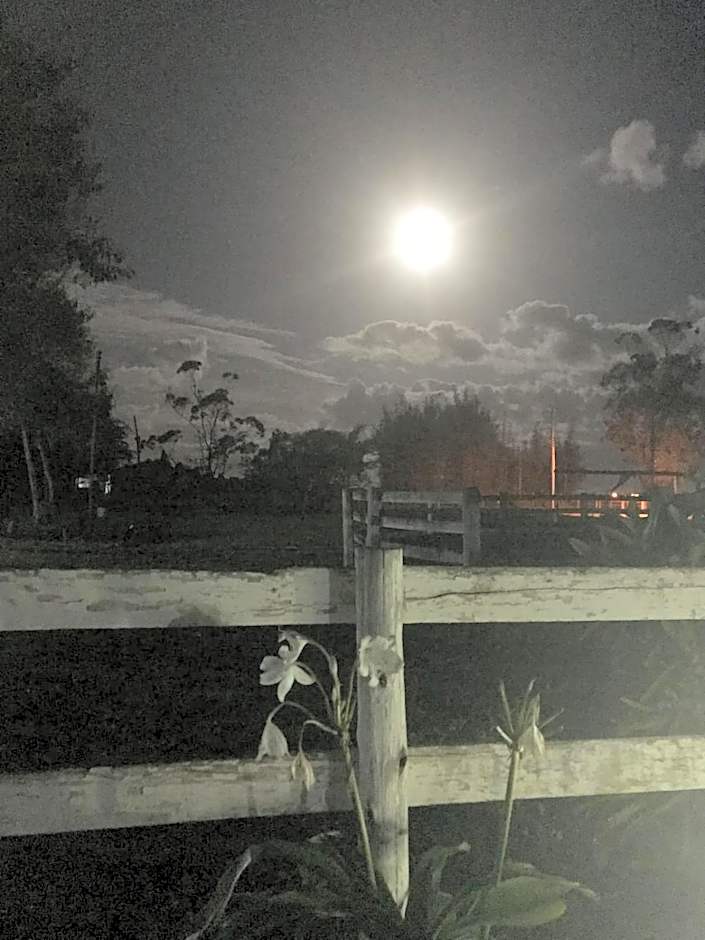 Haras Trevo de Ferro, Praia, Piscina e Campo