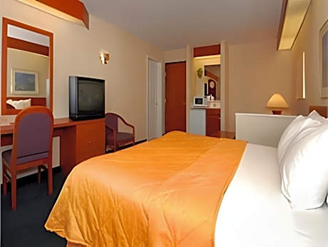 1 Bedroom Suite