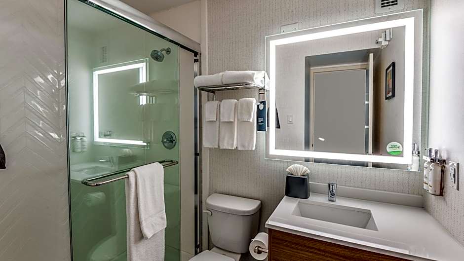 Holiday Inn Dallas Market Ctr Love Field By IHG