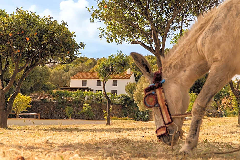 Finca Santa Teresa, Casa Granada